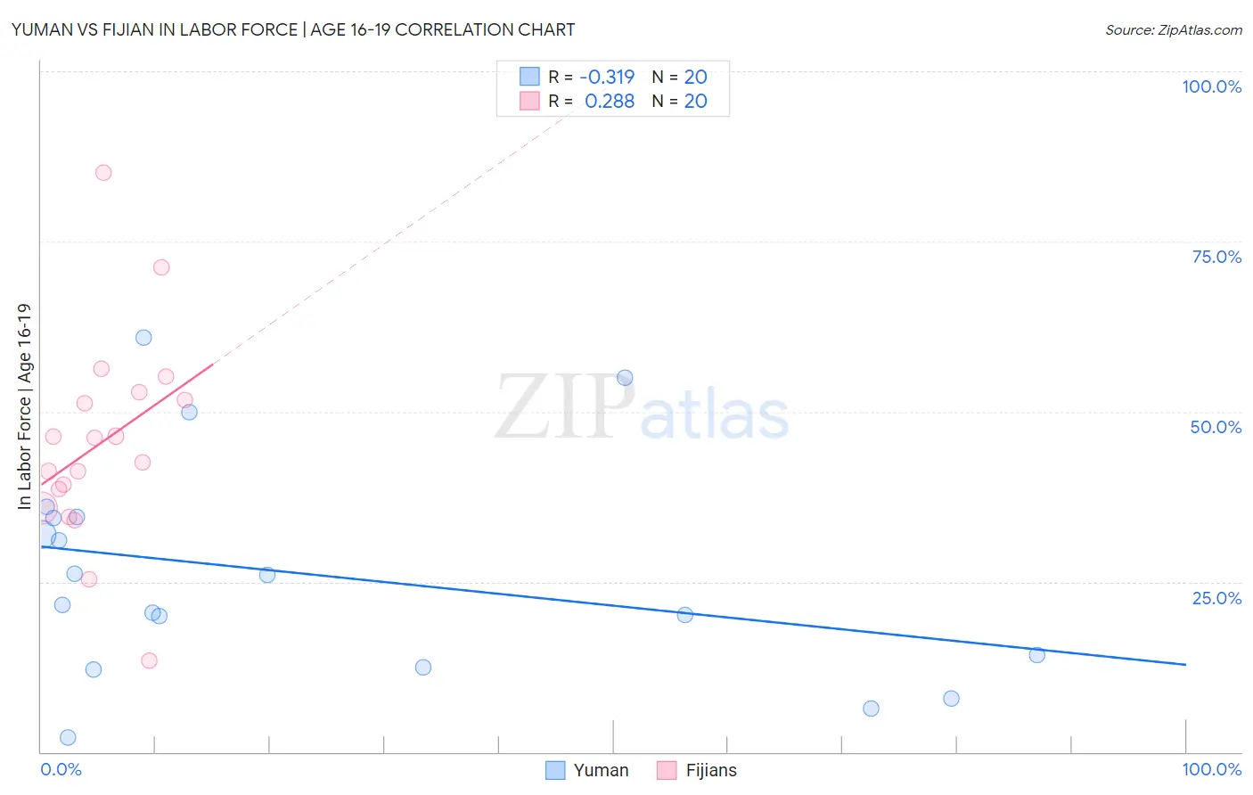 Yuman vs Fijian In Labor Force | Age 16-19