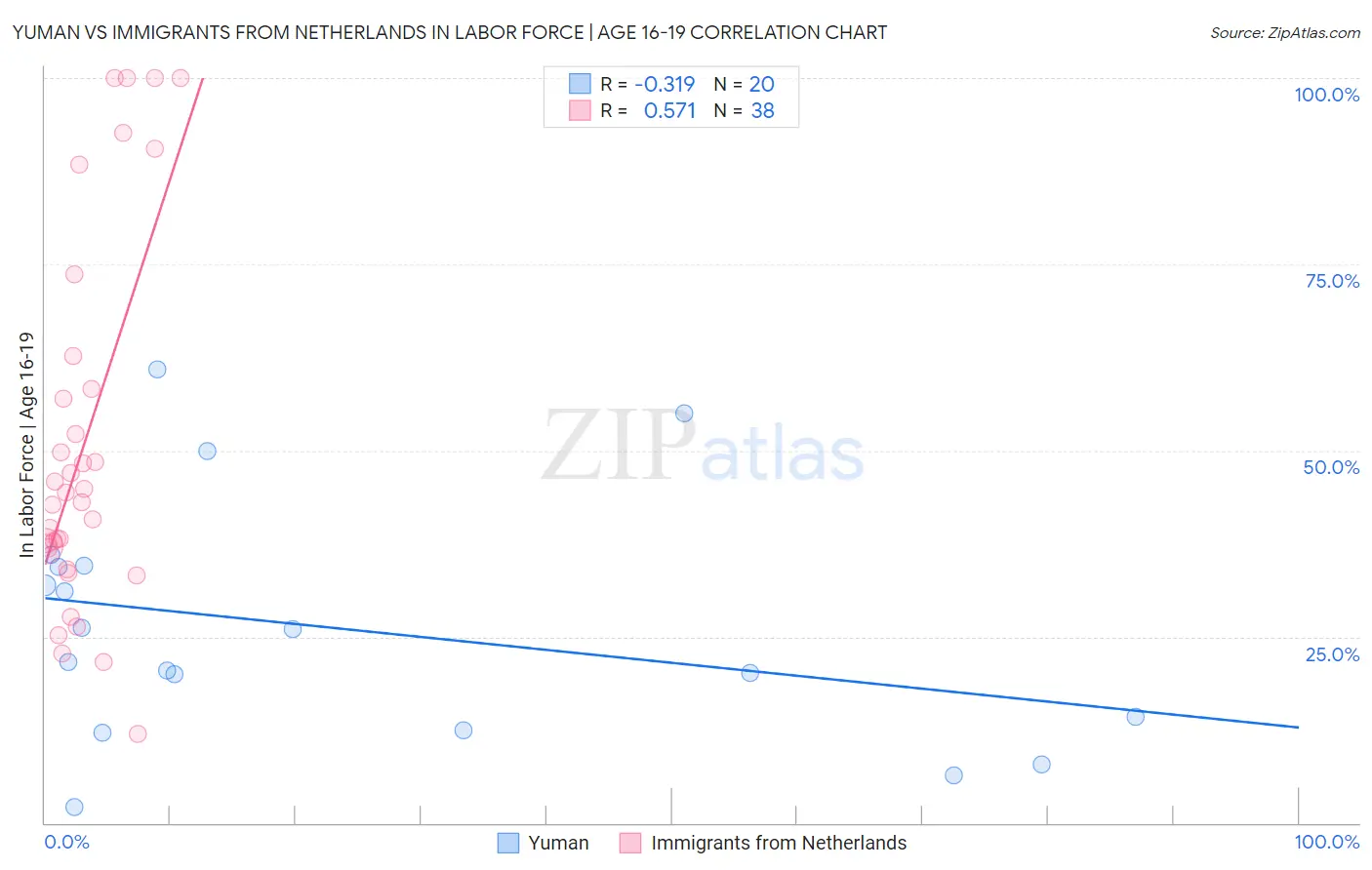 Yuman vs Immigrants from Netherlands In Labor Force | Age 16-19