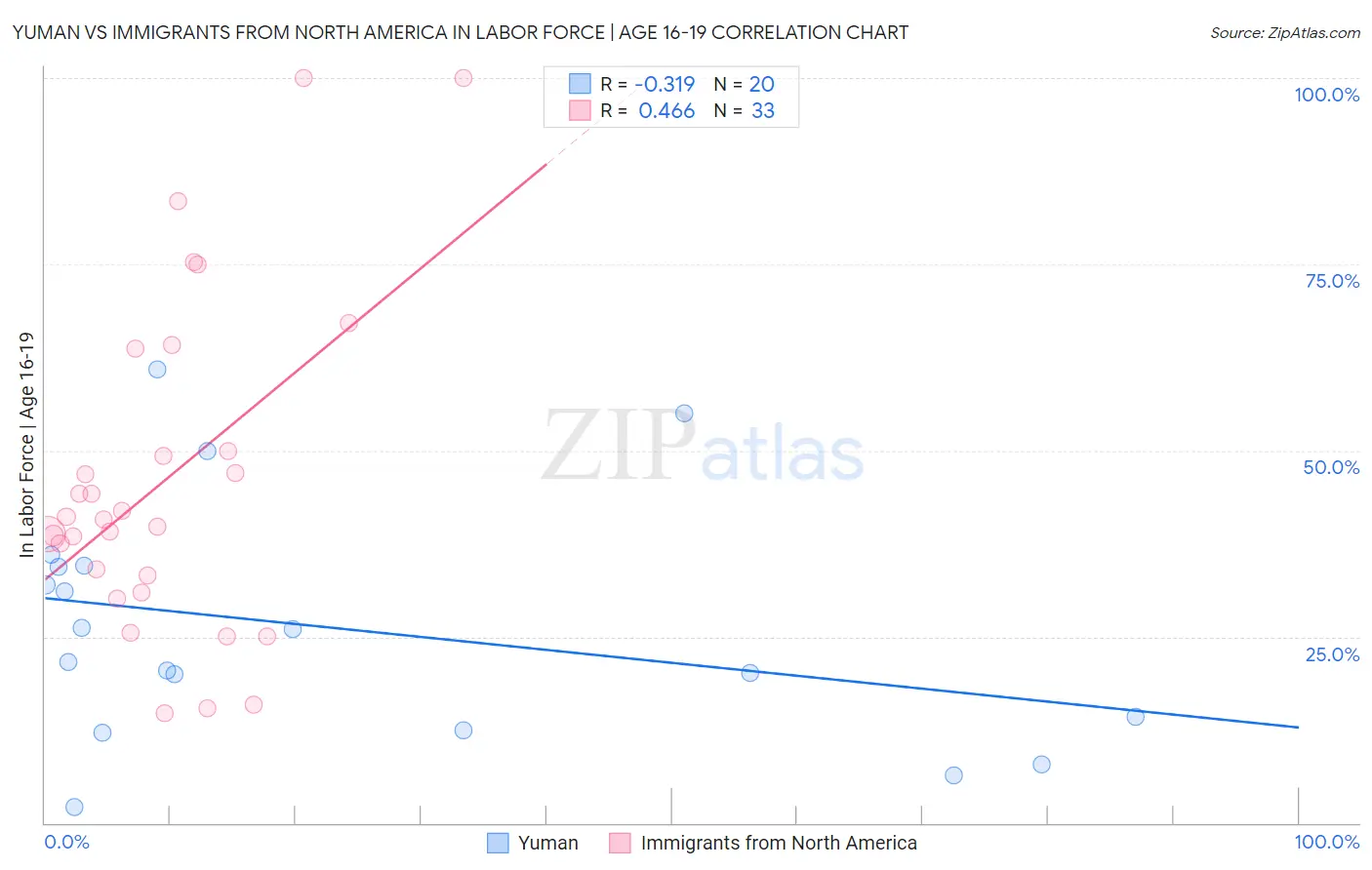 Yuman vs Immigrants from North America In Labor Force | Age 16-19