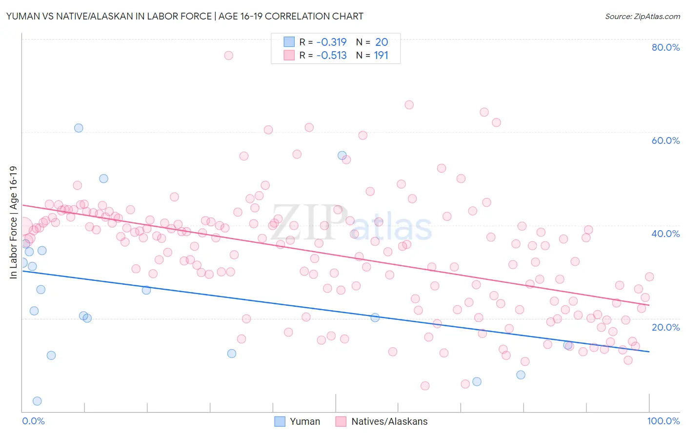 Yuman vs Native/Alaskan In Labor Force | Age 16-19