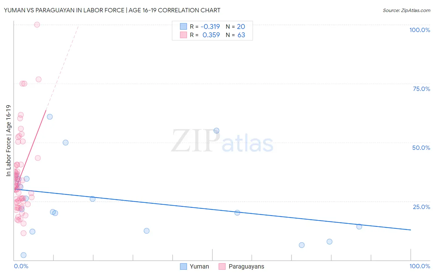 Yuman vs Paraguayan In Labor Force | Age 16-19