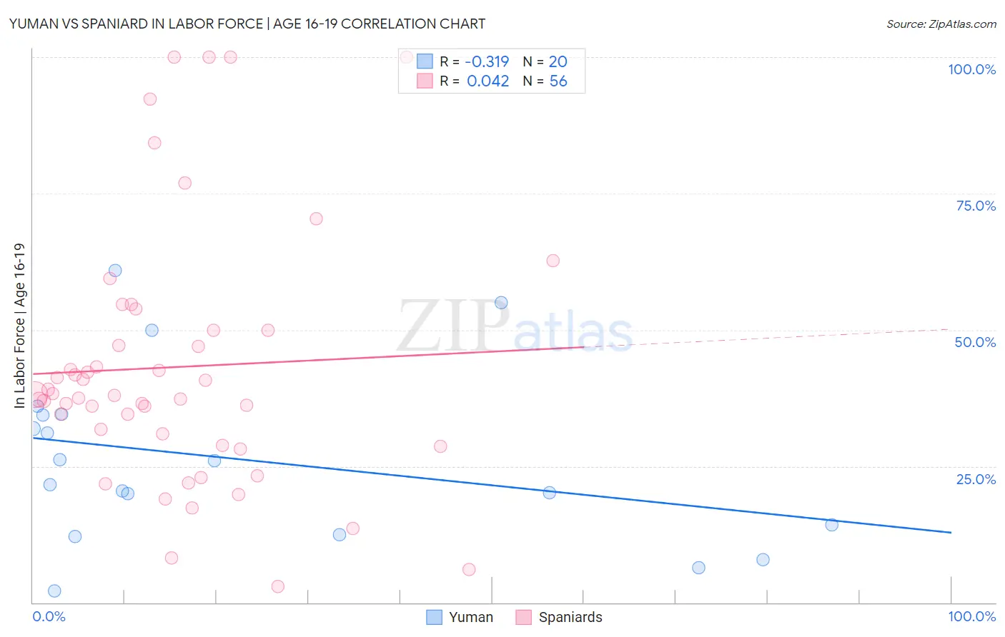 Yuman vs Spaniard In Labor Force | Age 16-19