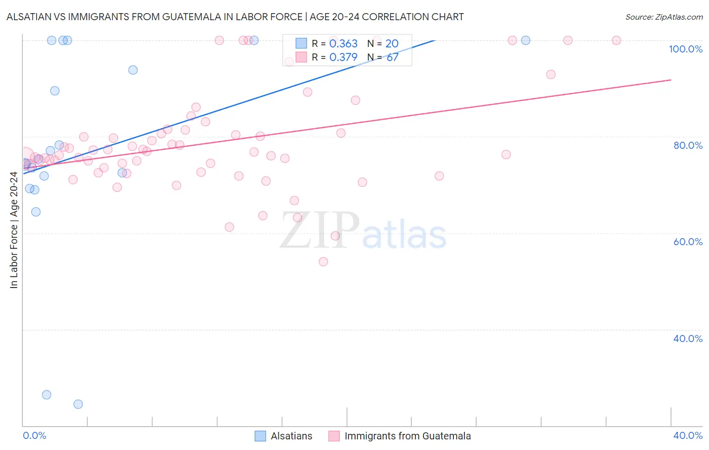 Alsatian vs Immigrants from Guatemala In Labor Force | Age 20-24