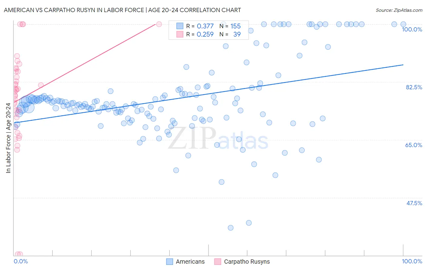 American vs Carpatho Rusyn In Labor Force | Age 20-24