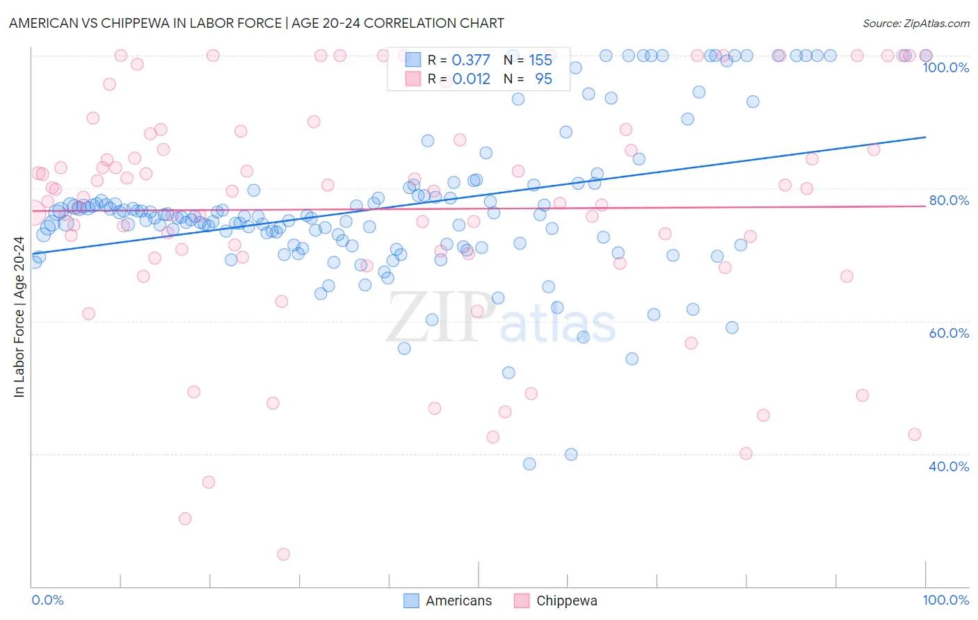 American vs Chippewa In Labor Force | Age 20-24