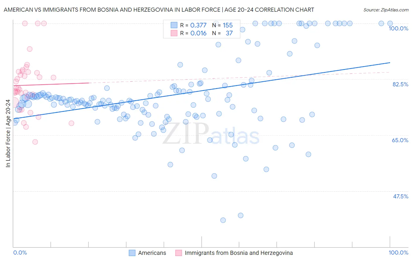 American vs Immigrants from Bosnia and Herzegovina In Labor Force | Age 20-24