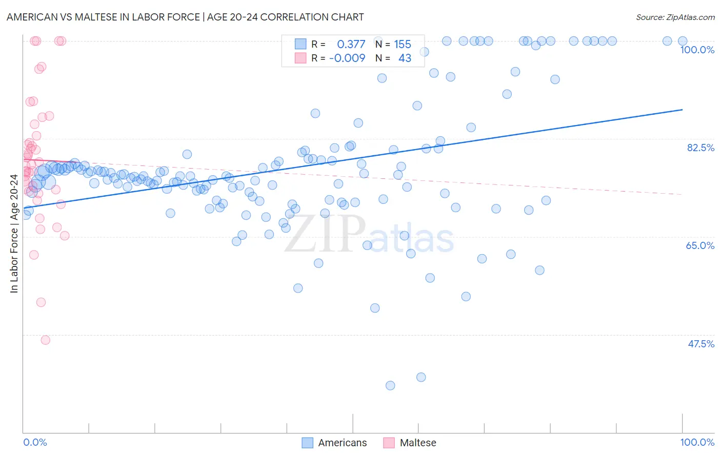 American vs Maltese In Labor Force | Age 20-24