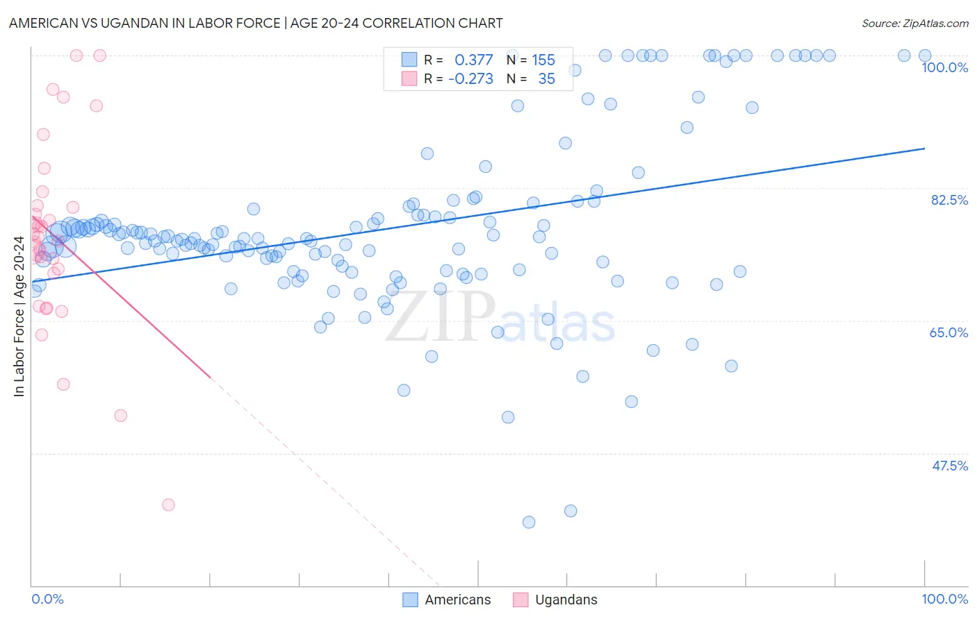 American vs Ugandan In Labor Force | Age 20-24