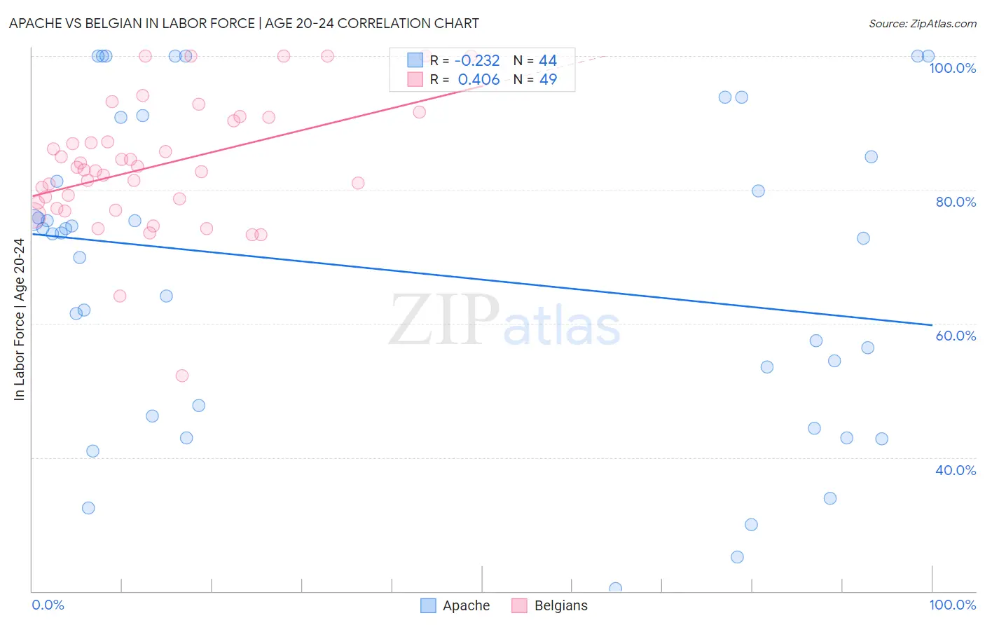 Apache vs Belgian In Labor Force | Age 20-24