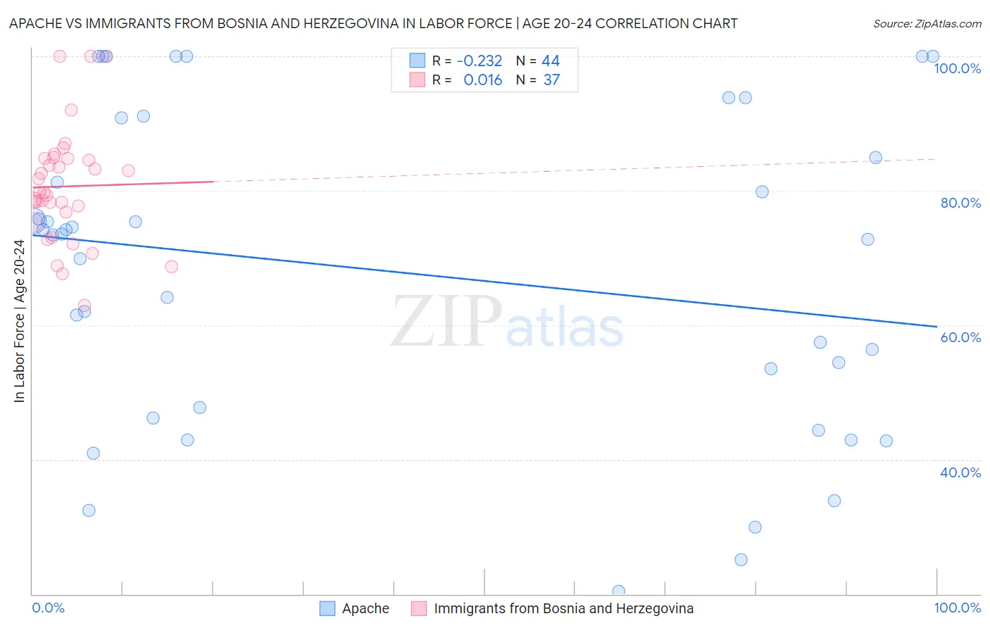 Apache vs Immigrants from Bosnia and Herzegovina In Labor Force | Age 20-24