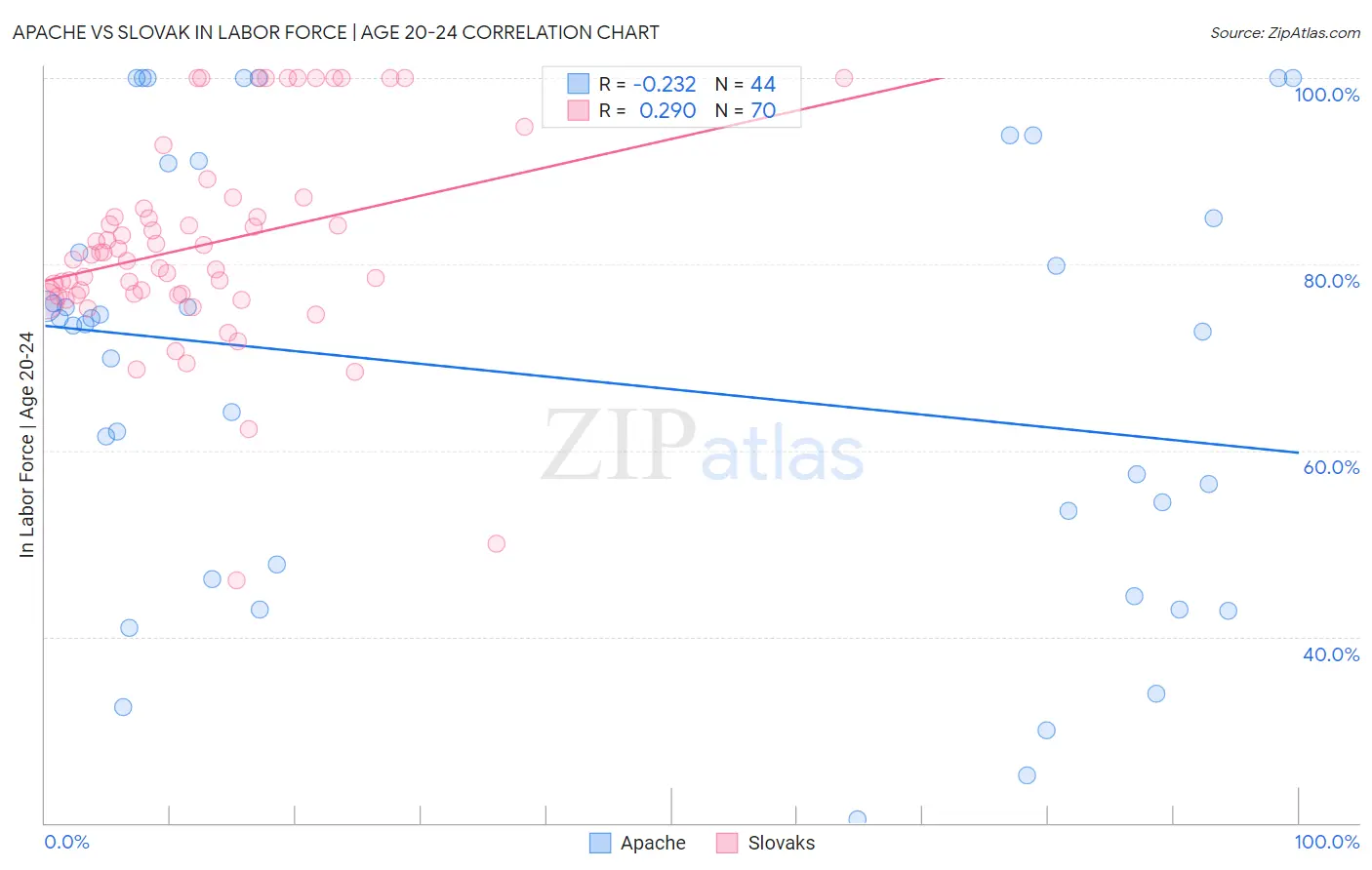 Apache vs Slovak In Labor Force | Age 20-24