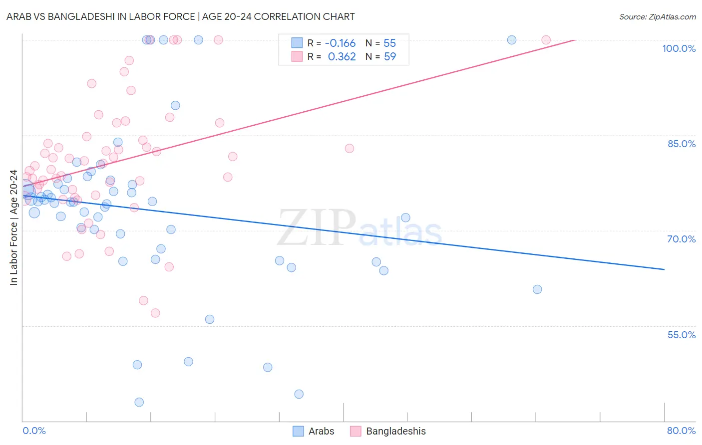 Arab vs Bangladeshi In Labor Force | Age 20-24