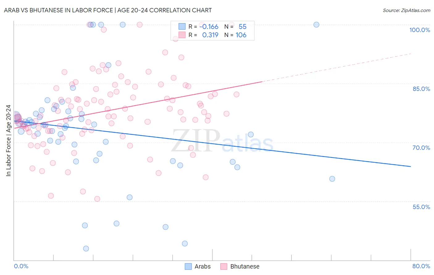 Arab vs Bhutanese In Labor Force | Age 20-24