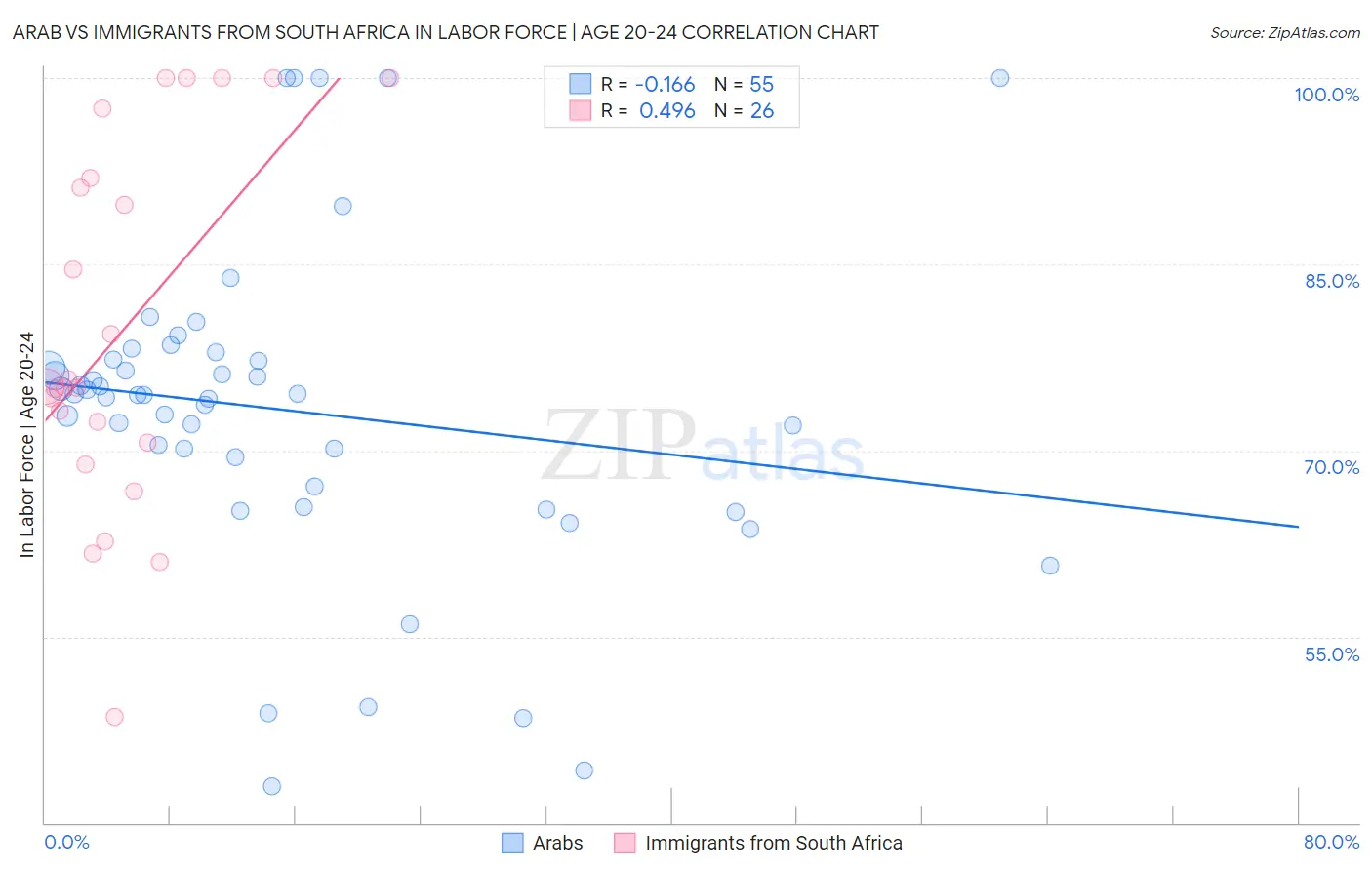 Arab vs Immigrants from South Africa In Labor Force | Age 20-24