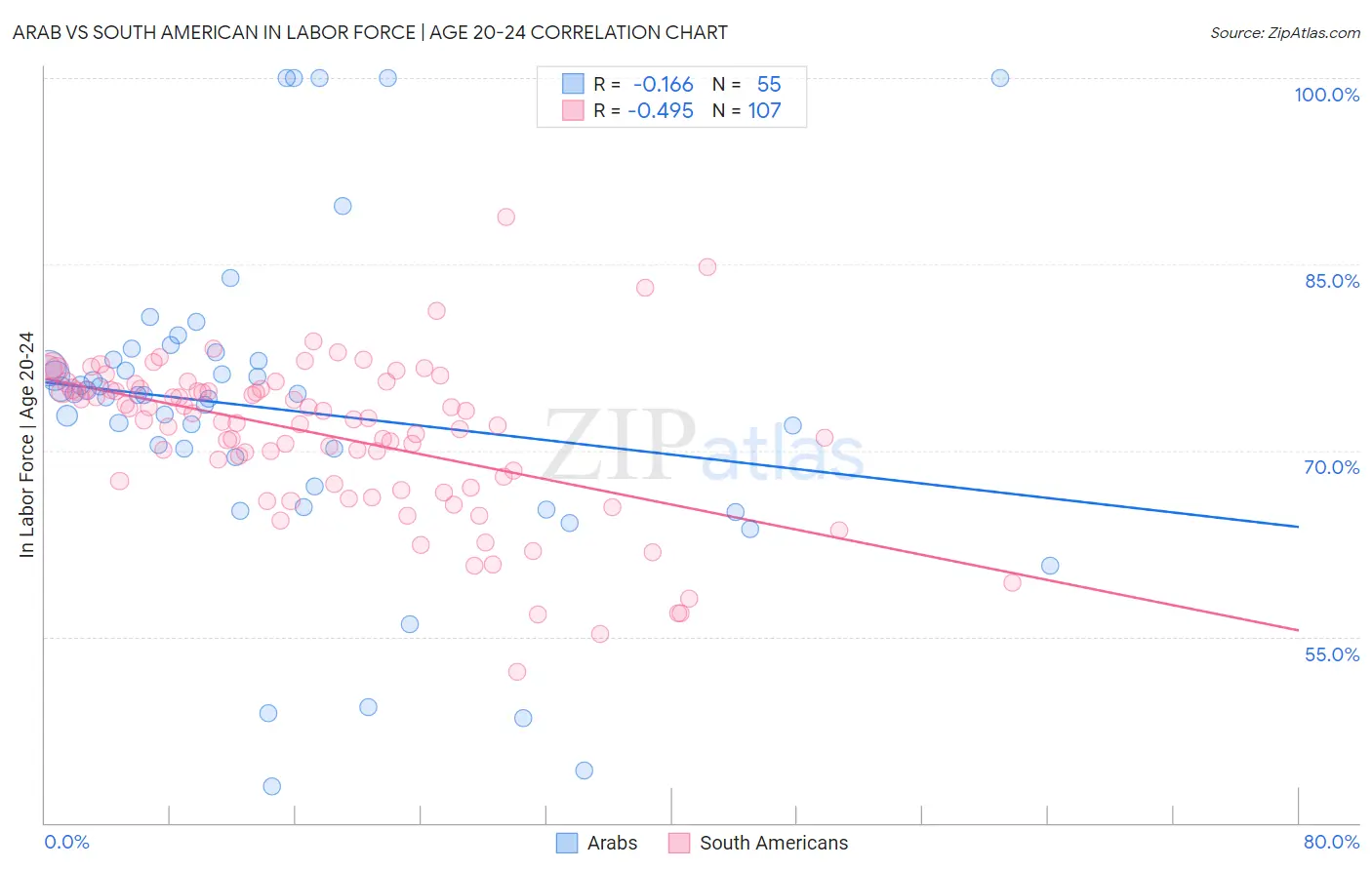 Arab vs South American In Labor Force | Age 20-24