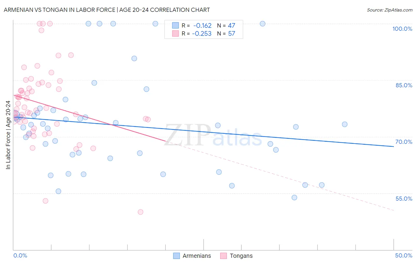 Armenian vs Tongan In Labor Force | Age 20-24