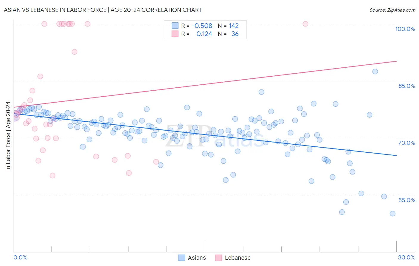 Asian vs Lebanese In Labor Force | Age 20-24