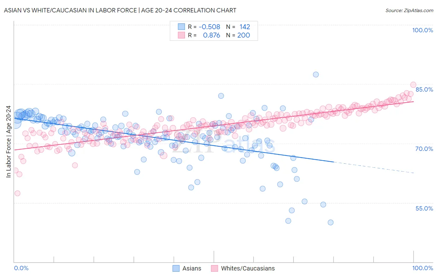 Asian vs White/Caucasian In Labor Force | Age 20-24