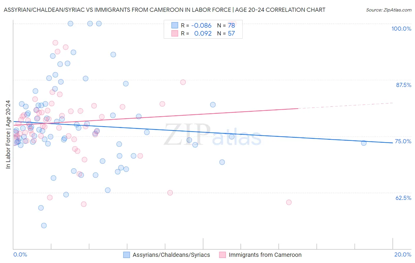 Assyrian/Chaldean/Syriac vs Immigrants from Cameroon In Labor Force | Age 20-24