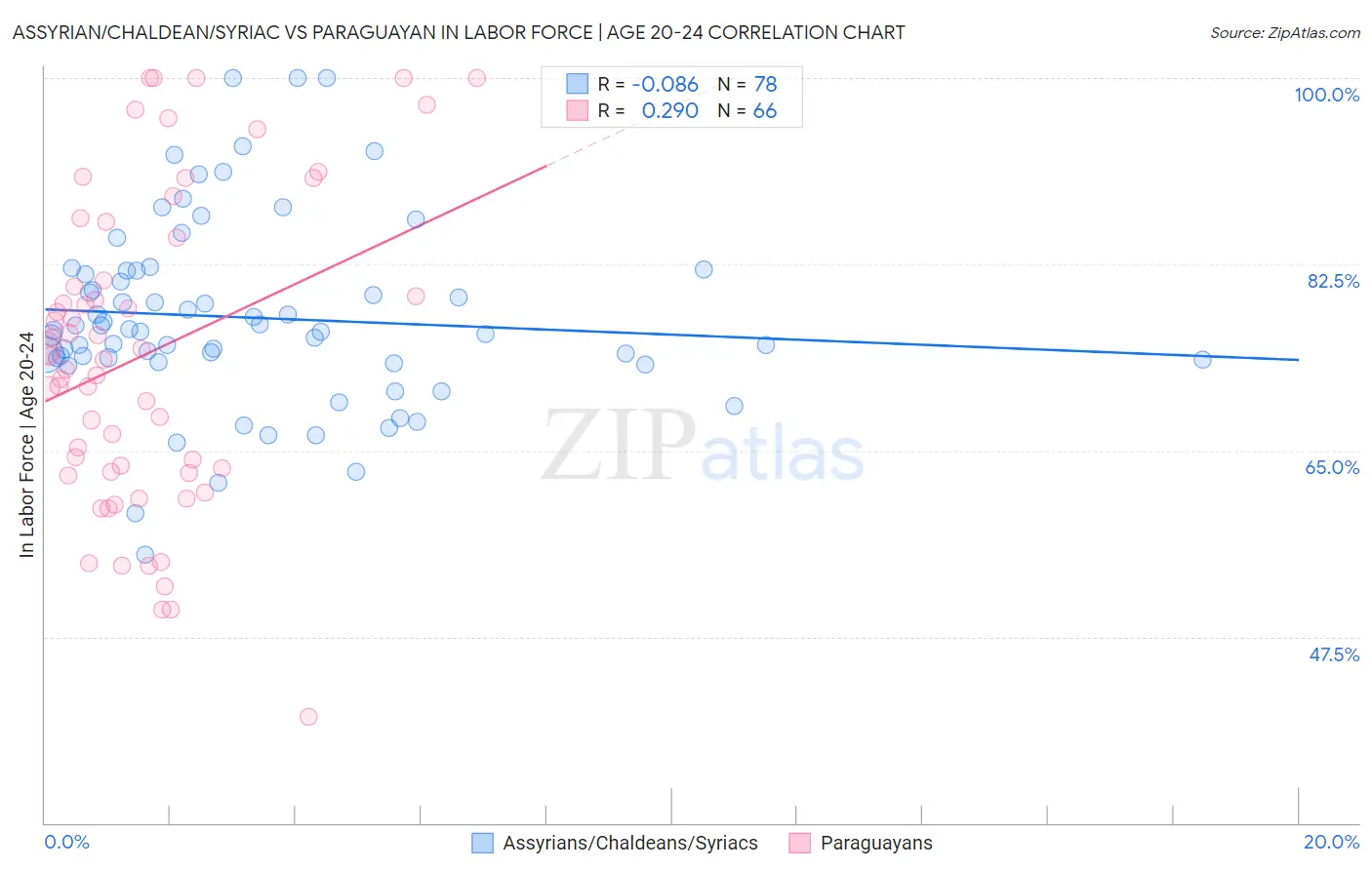 Assyrian/Chaldean/Syriac vs Paraguayan In Labor Force | Age 20-24