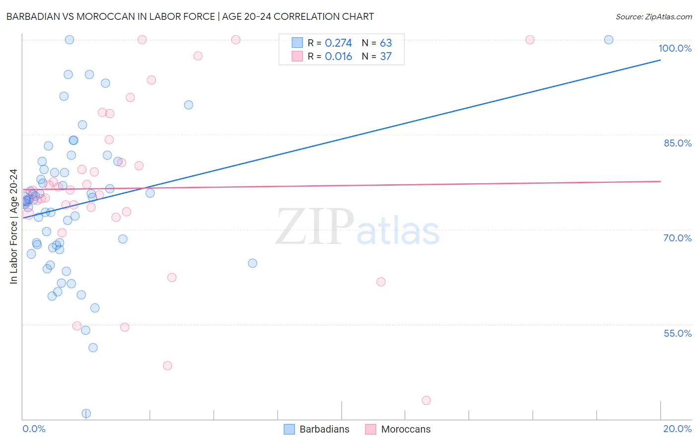 Barbadian vs Moroccan In Labor Force | Age 20-24