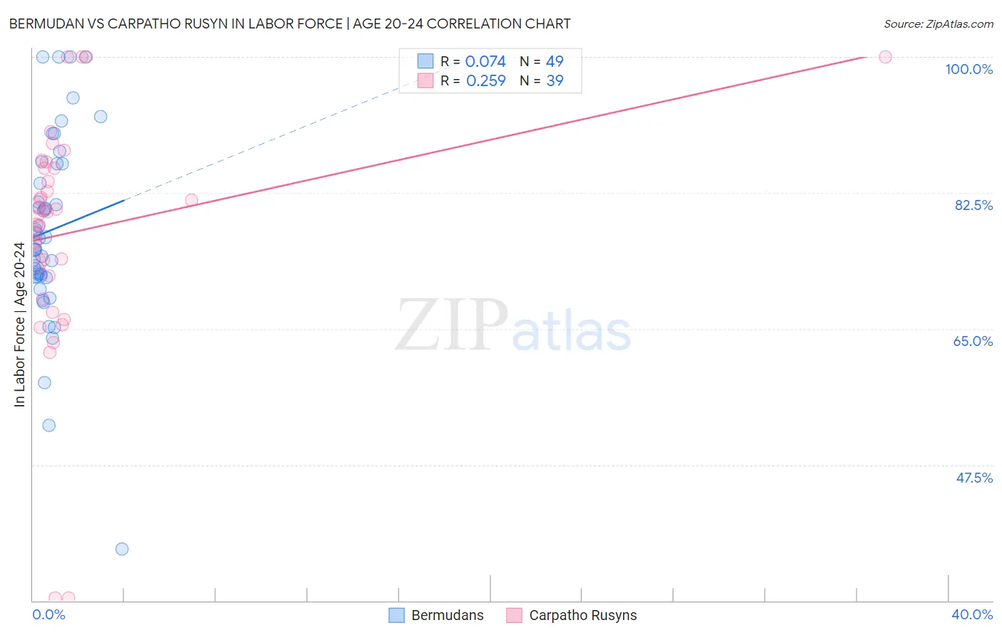 Bermudan vs Carpatho Rusyn In Labor Force | Age 20-24