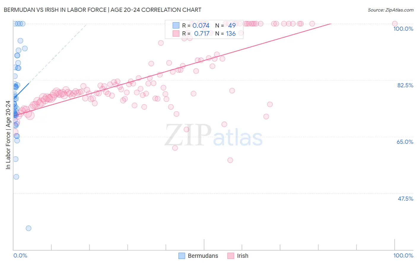 Bermudan vs Irish In Labor Force | Age 20-24