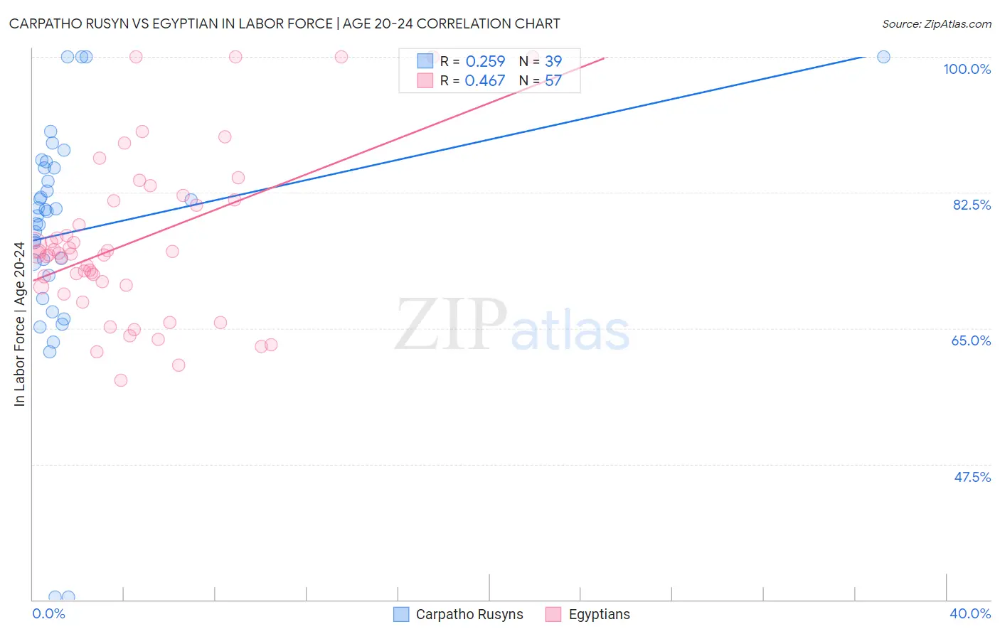 Carpatho Rusyn vs Egyptian In Labor Force | Age 20-24