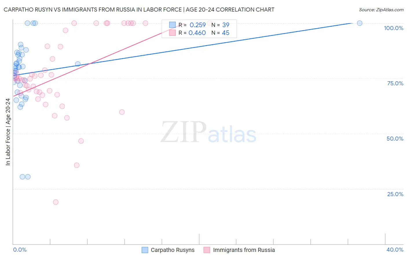 Carpatho Rusyn vs Immigrants from Russia In Labor Force | Age 20-24