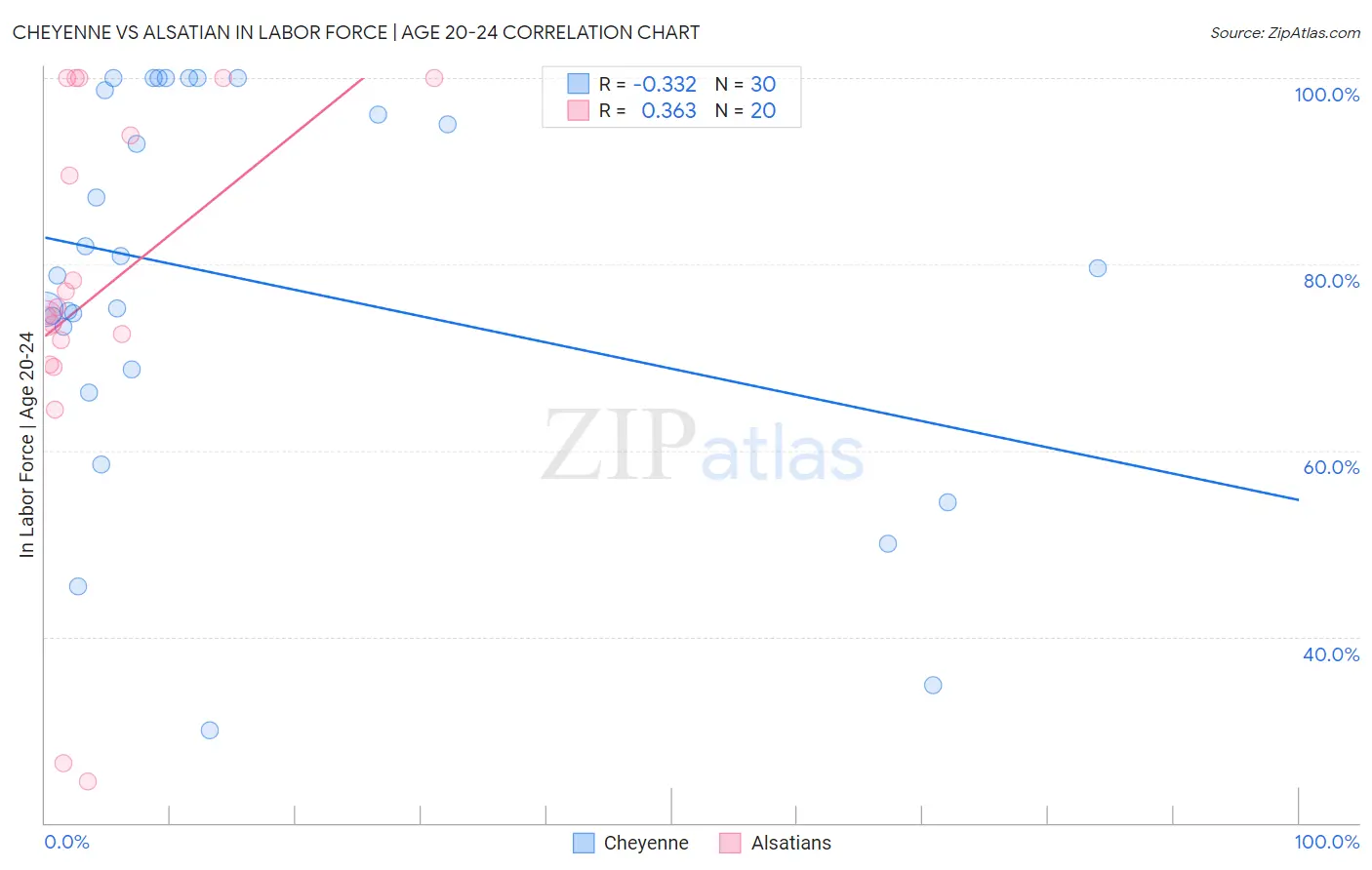 Cheyenne vs Alsatian In Labor Force | Age 20-24