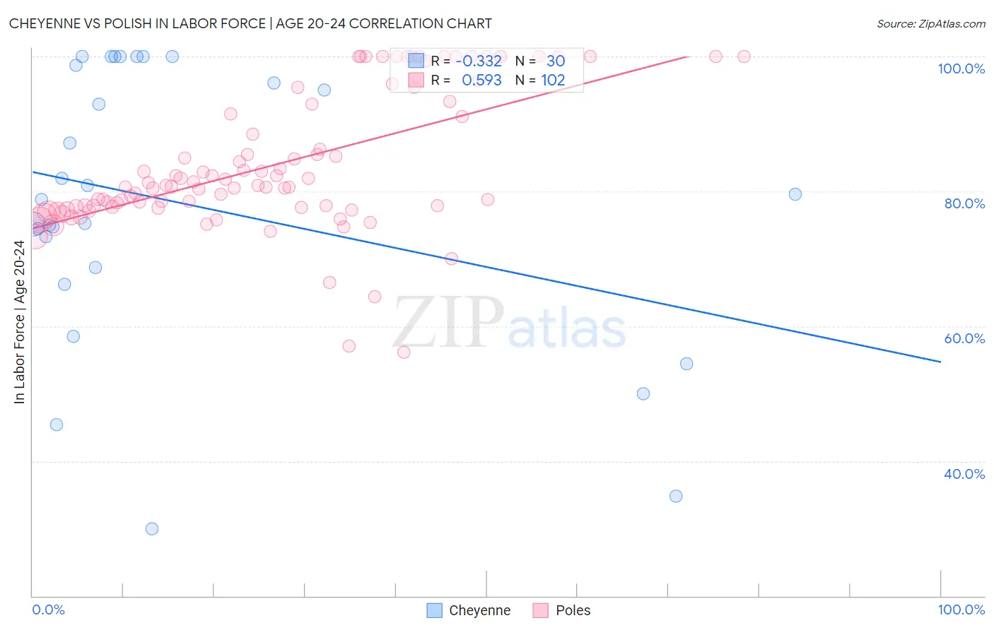 Cheyenne vs Polish In Labor Force | Age 20-24