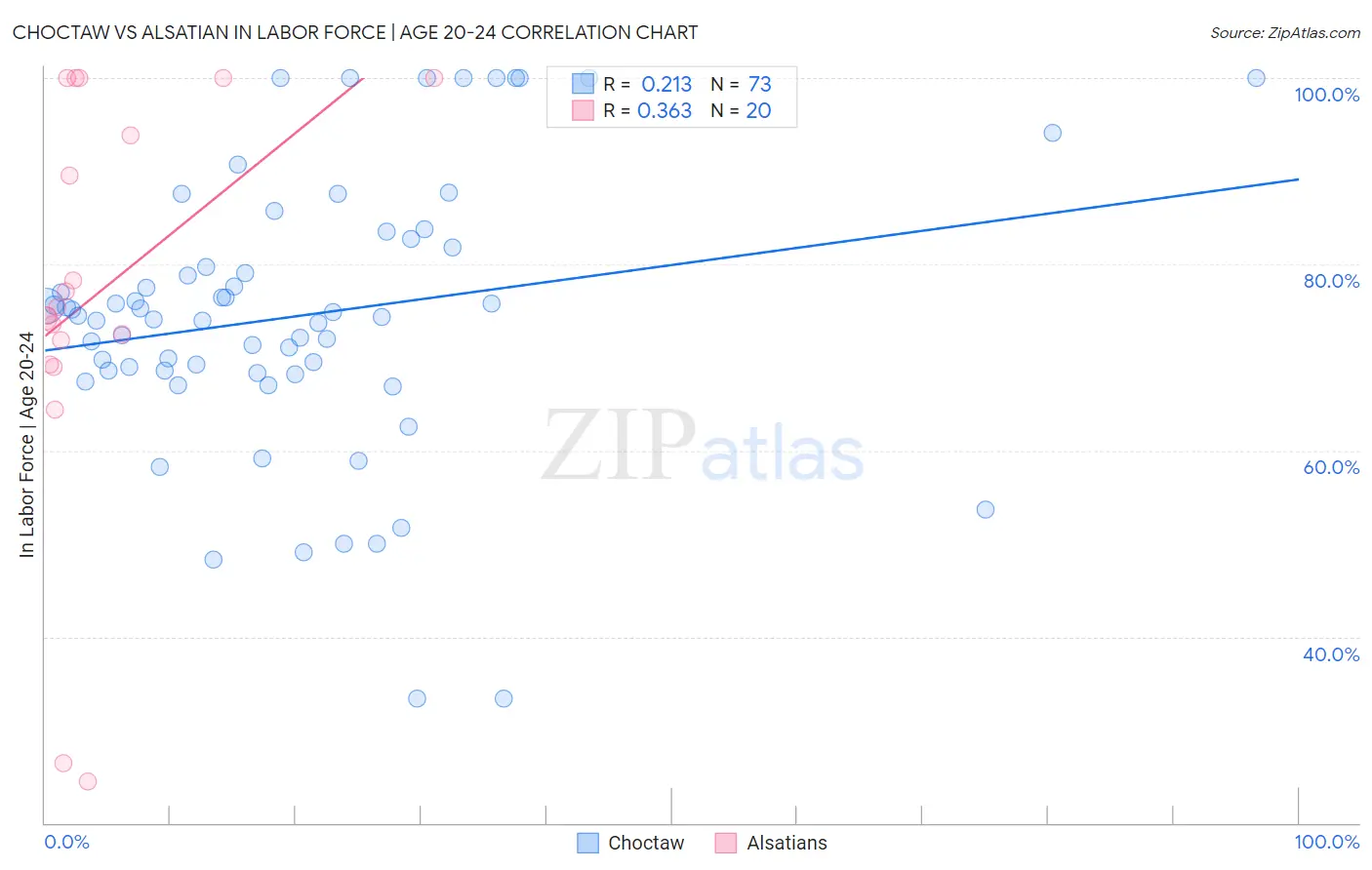 Choctaw vs Alsatian In Labor Force | Age 20-24