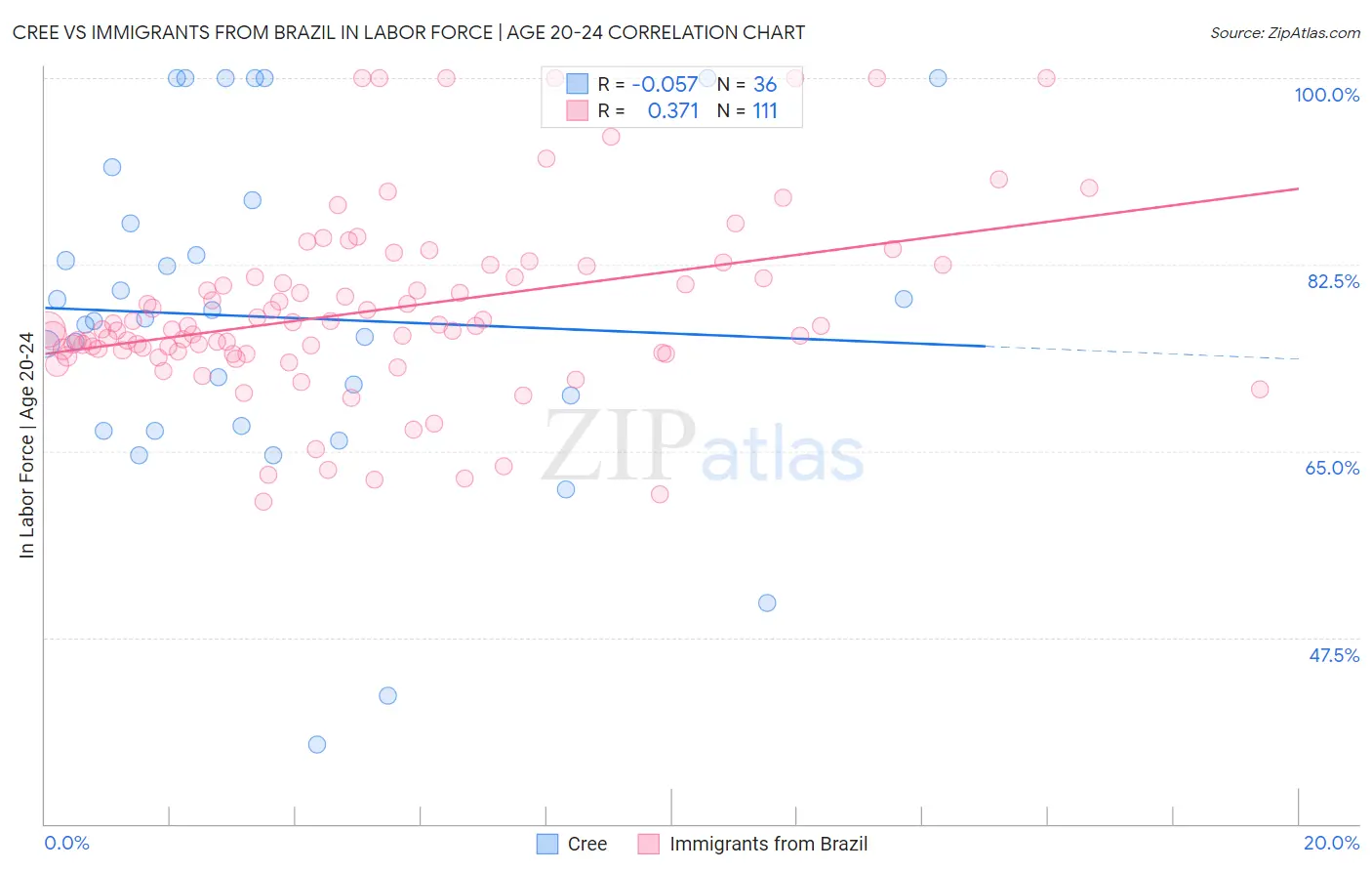 Cree vs Immigrants from Brazil In Labor Force | Age 20-24