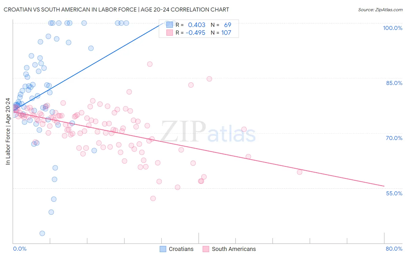 Croatian vs South American In Labor Force | Age 20-24