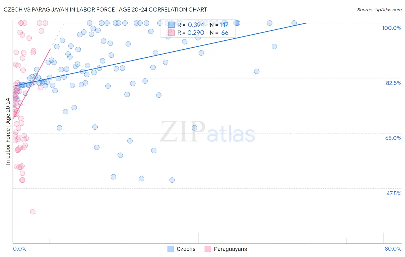 Czech vs Paraguayan In Labor Force | Age 20-24