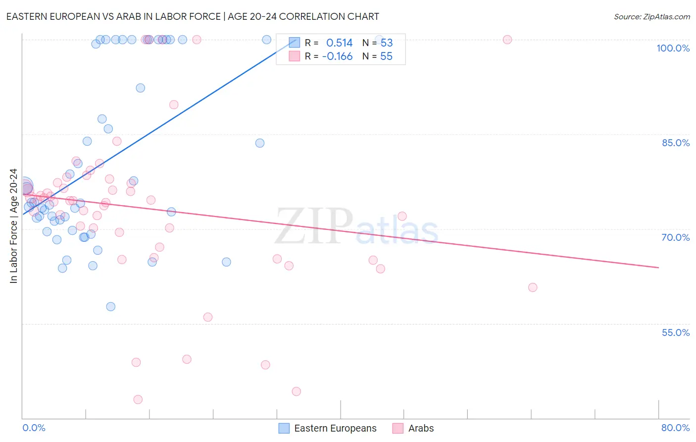 Eastern European vs Arab In Labor Force | Age 20-24