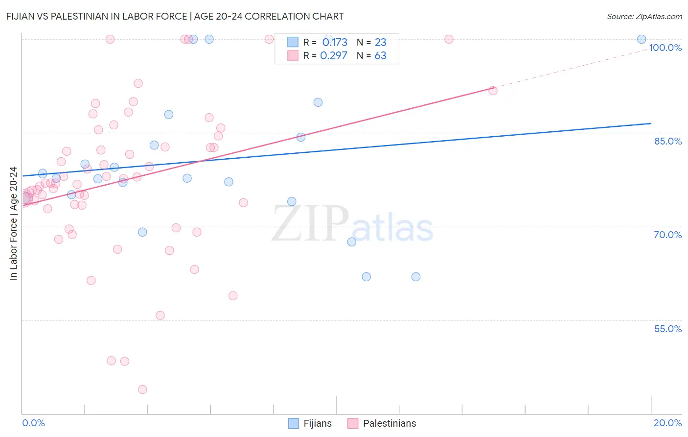 Fijian vs Palestinian In Labor Force | Age 20-24