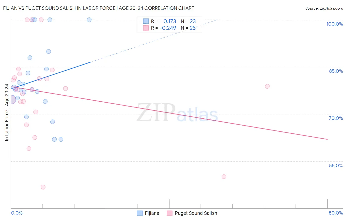 Fijian vs Puget Sound Salish In Labor Force | Age 20-24