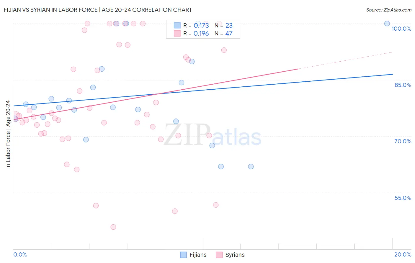 Fijian vs Syrian In Labor Force | Age 20-24