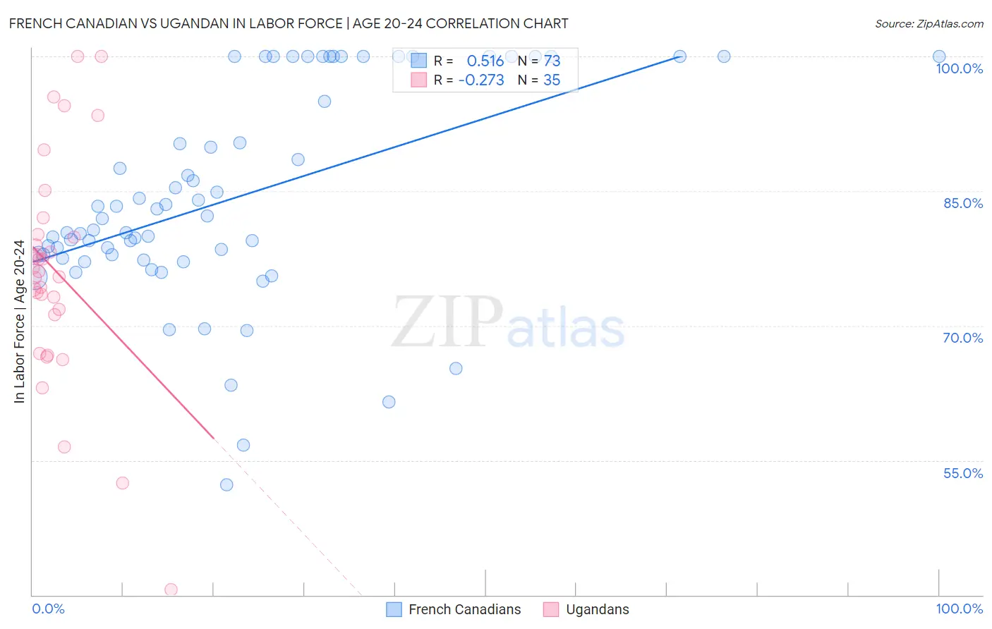 French Canadian vs Ugandan In Labor Force | Age 20-24