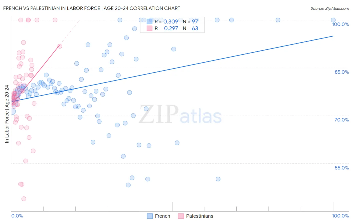 French vs Palestinian In Labor Force | Age 20-24