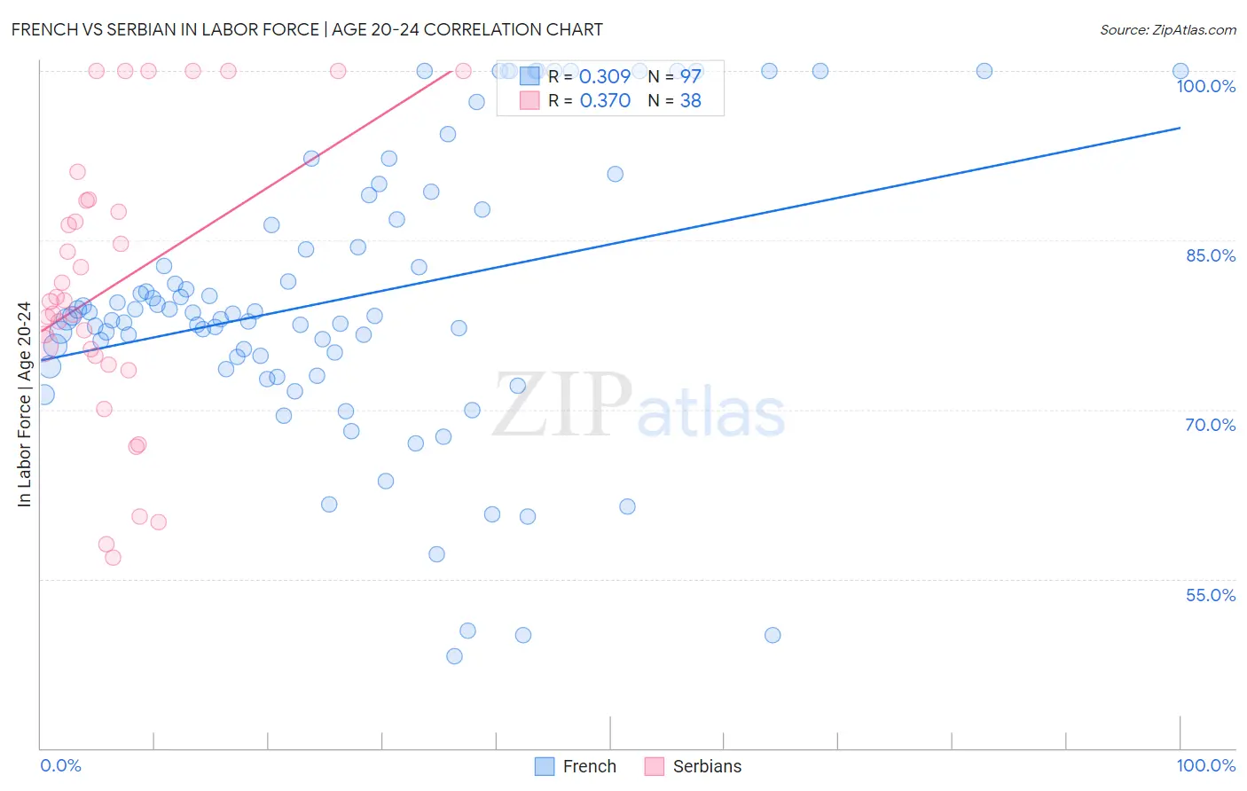 French vs Serbian In Labor Force | Age 20-24