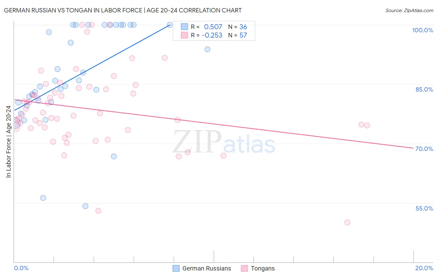 German Russian vs Tongan In Labor Force | Age 20-24