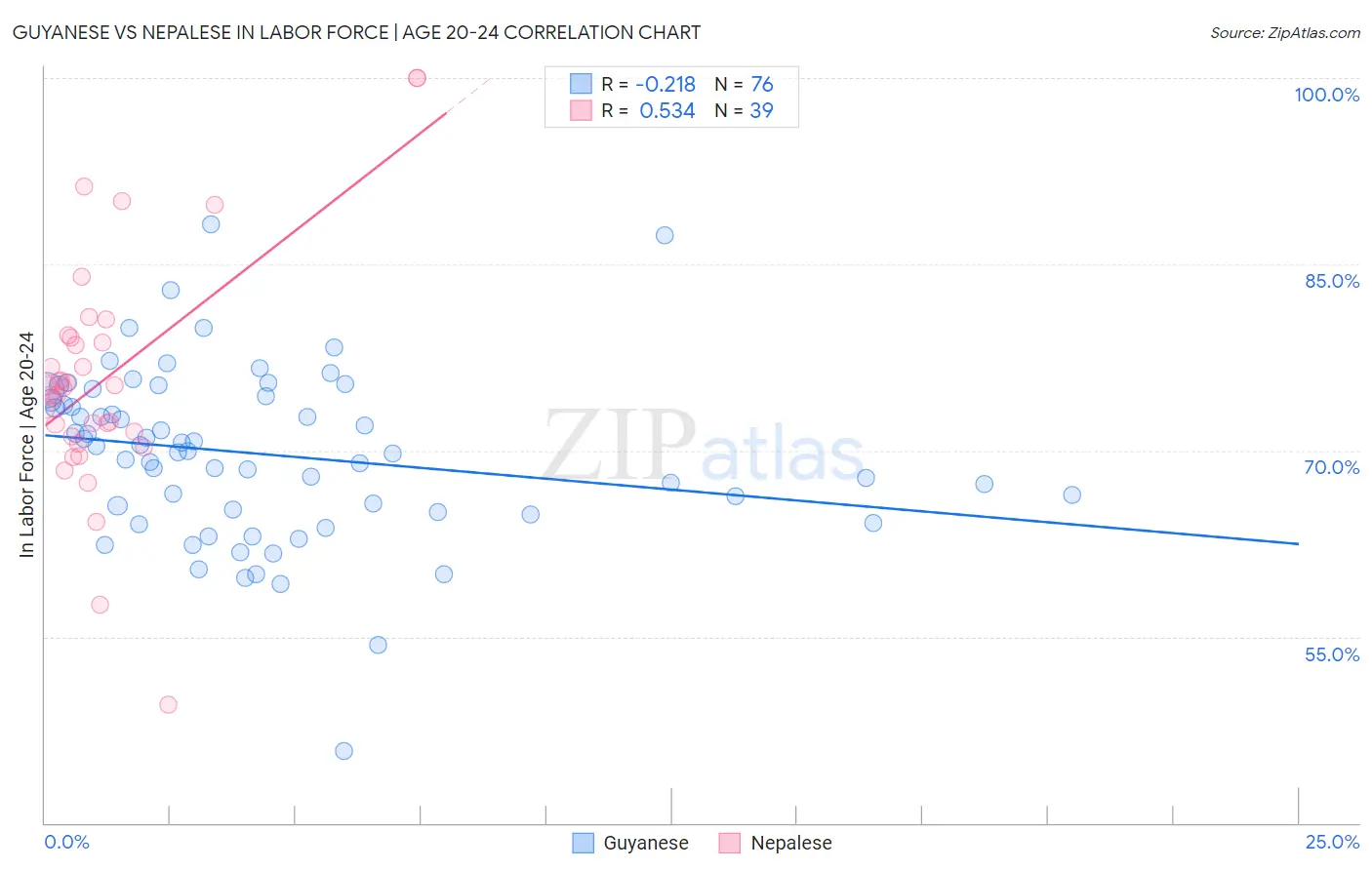 Guyanese vs Nepalese In Labor Force | Age 20-24