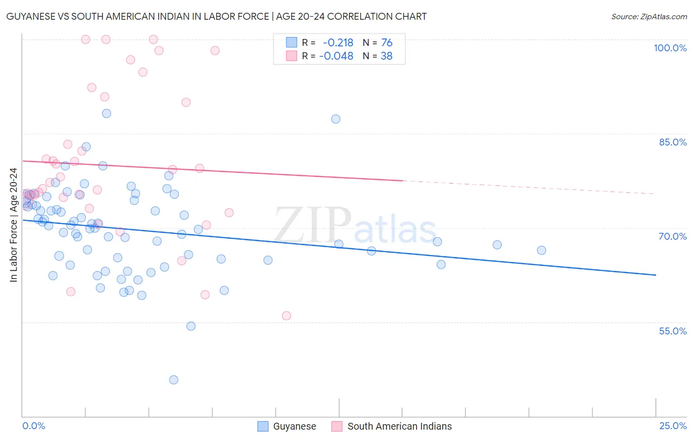 Guyanese vs South American Indian In Labor Force | Age 20-24