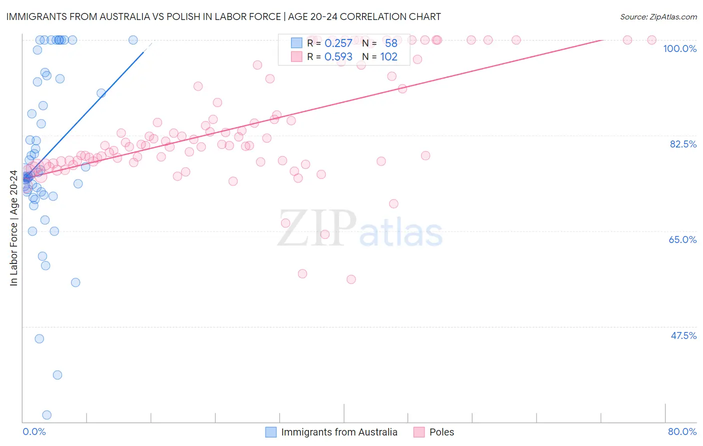 Immigrants from Australia vs Polish In Labor Force | Age 20-24