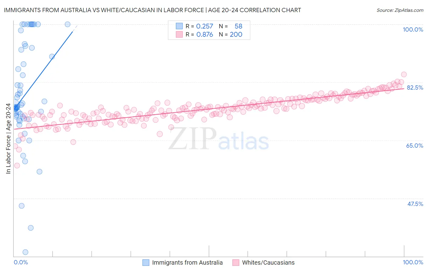 Immigrants from Australia vs White/Caucasian In Labor Force | Age 20-24