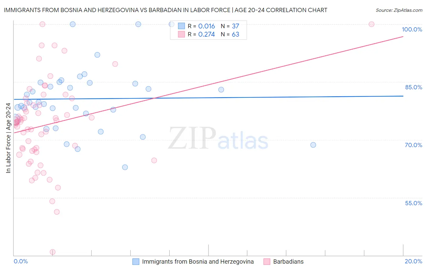 Immigrants from Bosnia and Herzegovina vs Barbadian In Labor Force | Age 20-24