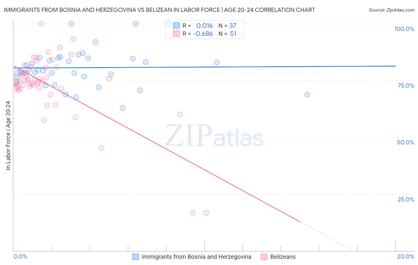 Immigrants from Bosnia and Herzegovina vs Belizean In Labor Force | Age 20-24