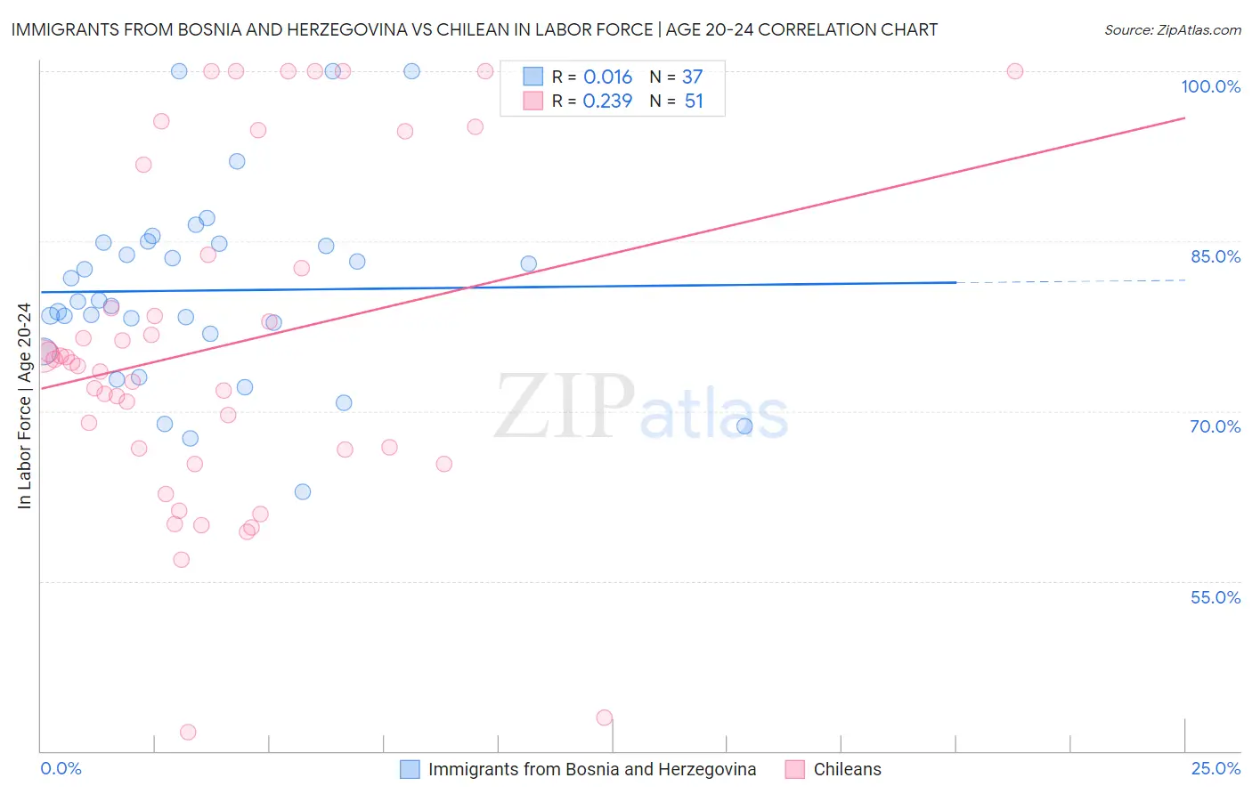 Immigrants from Bosnia and Herzegovina vs Chilean In Labor Force | Age 20-24